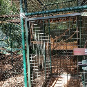 Natuurhulpcentrum Opglabbeek Lynx