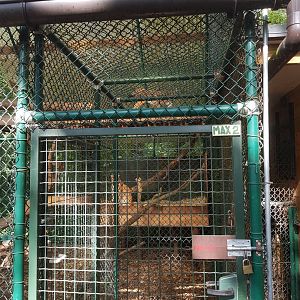 Natuurhulpcentrum Opglabbeek Lynx