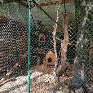 Natuurhulpcentrum Opglabbeek Serval