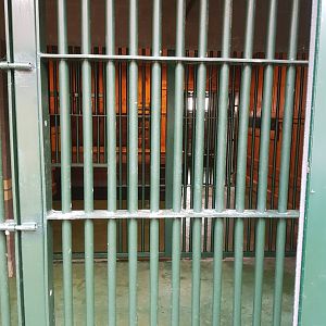 Natuurhulpcentrum Opglabbeek quarantine holding Lion