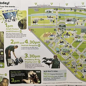 Zoo Map - Spring 2008