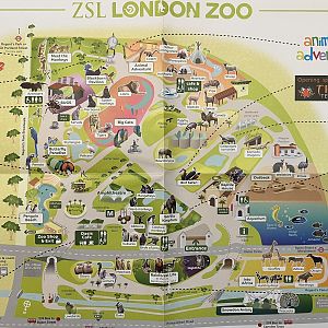 Zoo Map - 2013