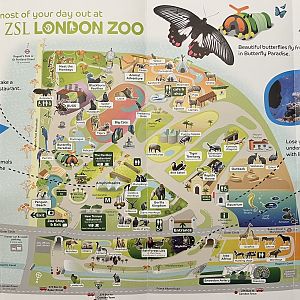 Zoo Map - 2011