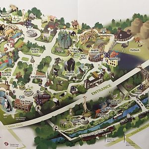 Zoo Map - 2016