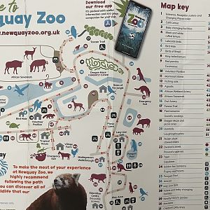 Zoo Map - 2021