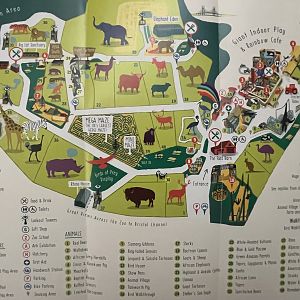 Zoo Map - 2019