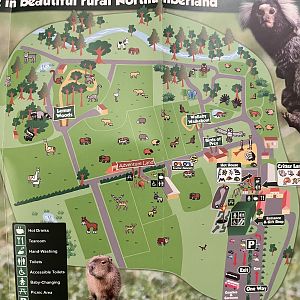 Zoo Map - 2019