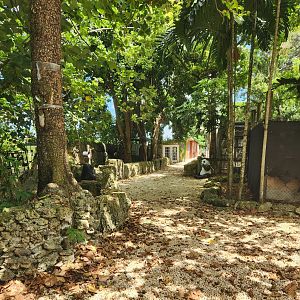 Everglades Outpost - Entrance path