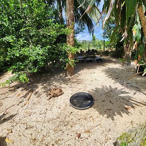Everglades Outpost - Tortoise yard