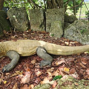 Everglades Outpost - Komodo Dragon statue