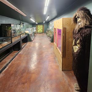 Everglades Outpost - Inside reptile room