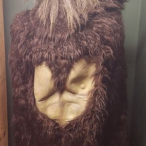 Everglades Outpost - Creepy Skunk Ape