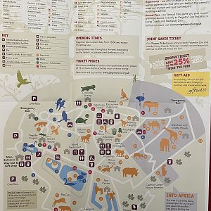 Zoo Map - 2018