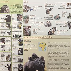 Checklist of Major Species - 2009