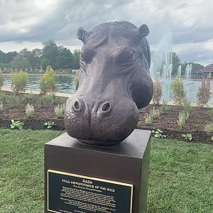 Nile hippo sculpture