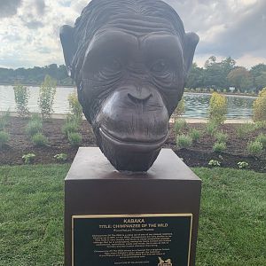 Chimpanzee sculpture