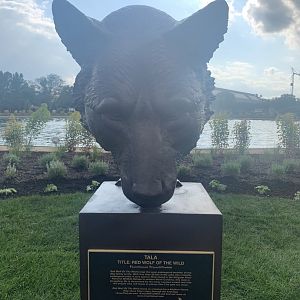 Red wolf sculpture
