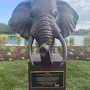 African elephant sculpture