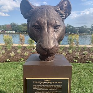 African lioness sculpture