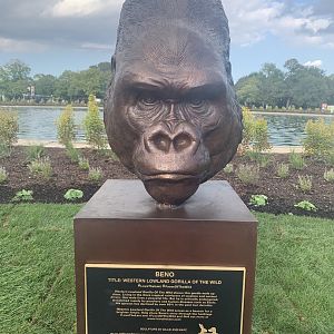 Western lowland gorilla sculpture