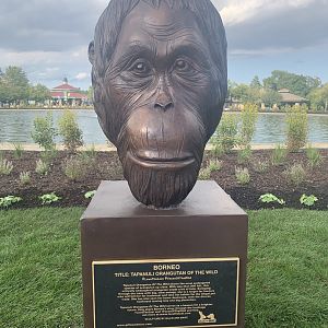Tapanuli orangutan sculpture