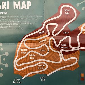 Safari Map - Fall 2018