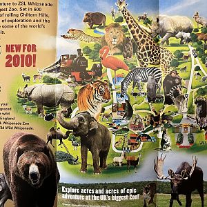 Zoo Map - 2010