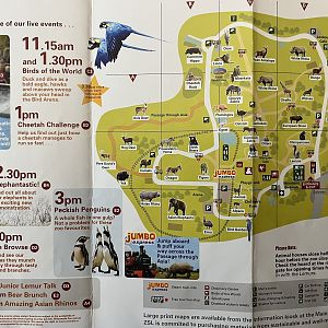 Zoo Map - Summer 2008