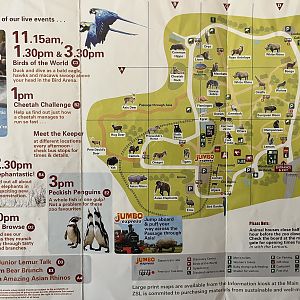 Zoo Map - Spring 2008
