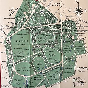 Zoo Map - 1938