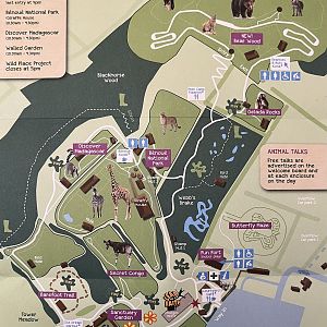 Zoo Map - 2019