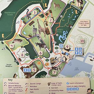 Zoo Map - 2018