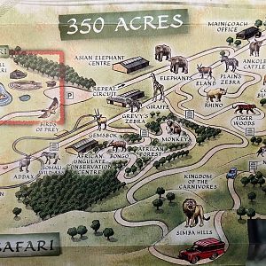 Safari Map - 2008