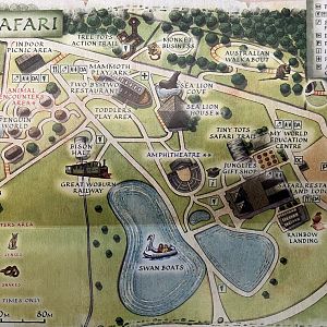 Zoo Map - 2008