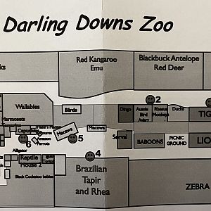 Zoo Map - 2015