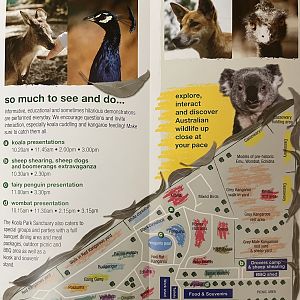 Koala Park Sanctuary Map - undated