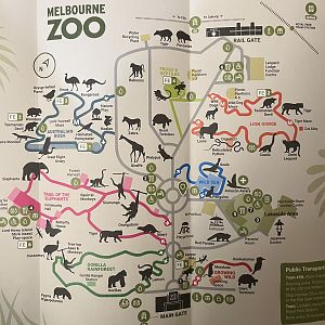 Zoo Map - 2022