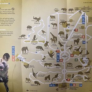 Zoo Map - Fall 2014