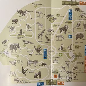 Zoo Map - 2007