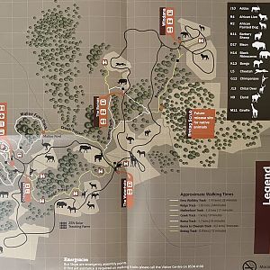 Zoo Map - 2015
