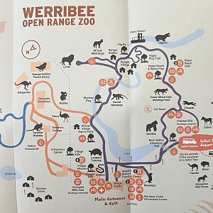 Zoo Map - 2022