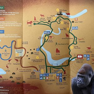 Zoo Map - Spring 2014