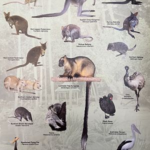 Species List (4 of 4 pages) - 2015