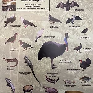 Species List (3 of 4 pages) - 2015