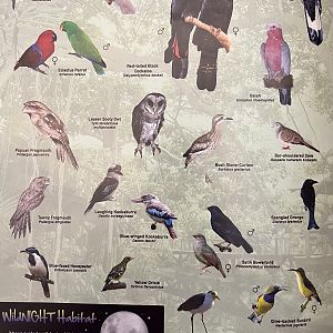 Species List (2 of 4 pages) - 2015