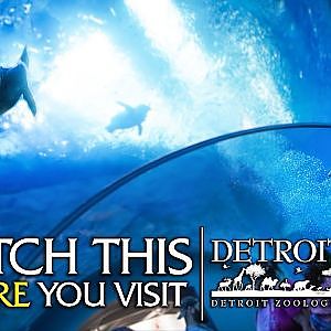 Watch This Before You Visit the Detroit Zoo