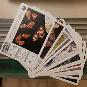 Some WWF animal cards