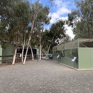 Tamarin and Serval Exhibits