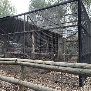 Empty Enclosure