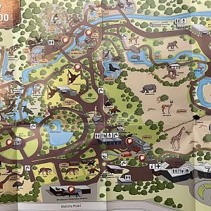 Zoo Map - Summer 2012